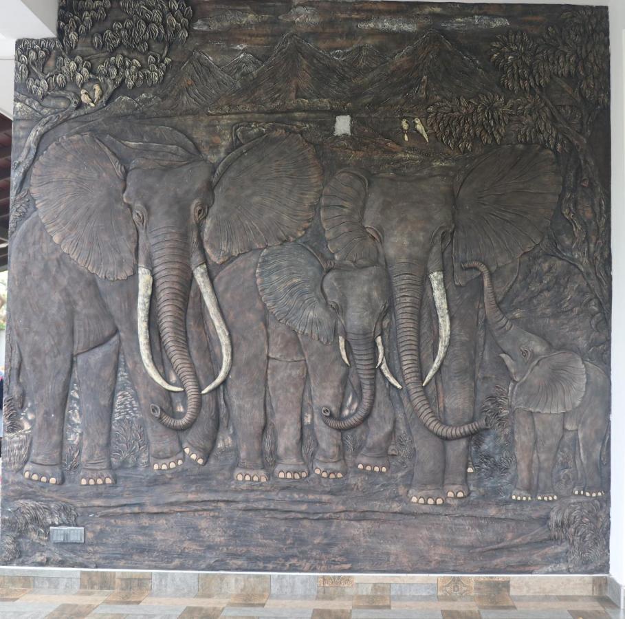 Southern Entry Dikwella Bagian luar foto