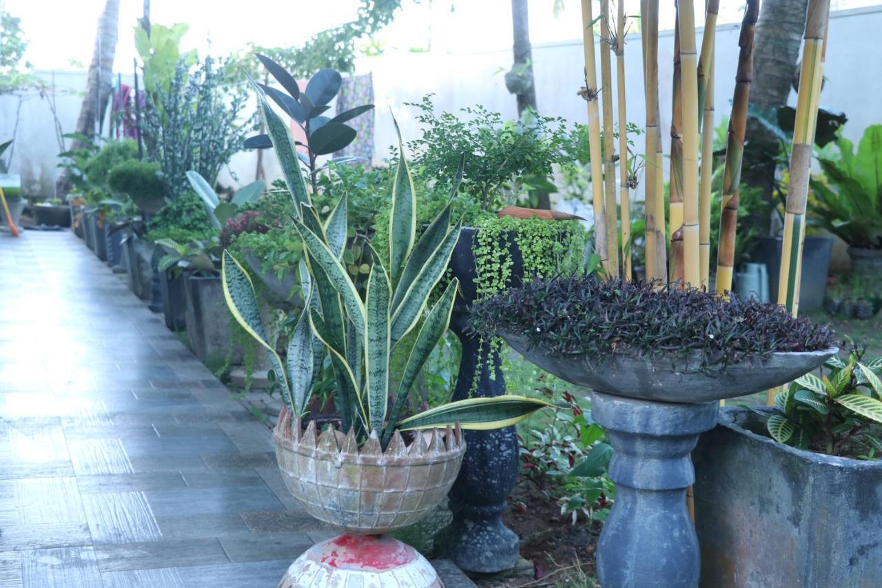 Southern Entry Dikwella Bagian luar foto
